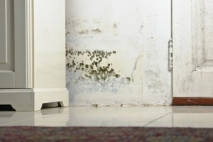 traitement de l'humidité ascensionnelle